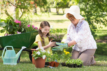 46061942 - happy grandmother with her granddaughter gardening on a sunny day